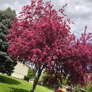 Meet your Posher, Angel